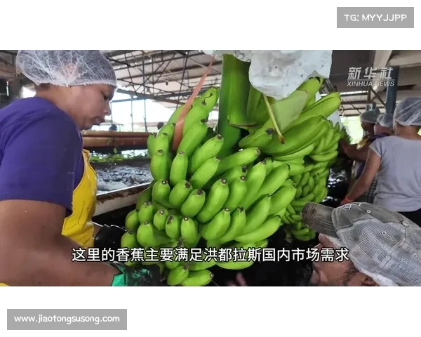 “香蕉共和国”的突围(五):洪都拉斯正在经历团结和觉醒 “香蕉共和国”的突围(五):洪都拉斯正在经历团结和觉醒